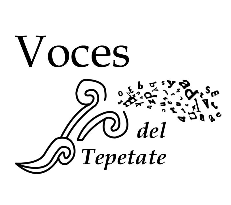 qrodigital-voces-del-tepetate-blog-queretaro-barrio-tradicion-artistas-urbanos