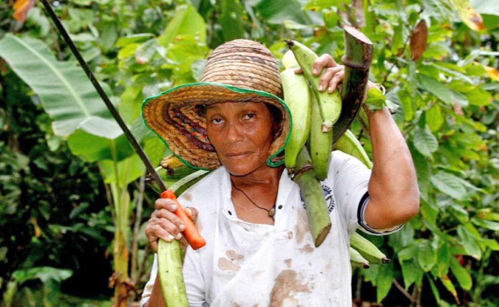 qrodigital-dia-internacional-de-la-mujer-mujer-de-campo