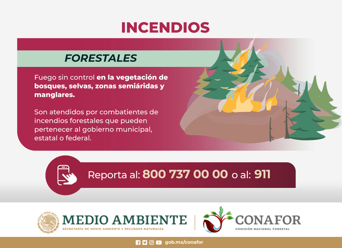 qrodigital-evitar-incendios-fogata-responsable-cuidado-de-bosques-conafor