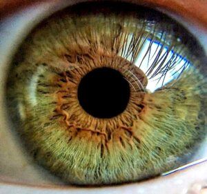 qrodigital-salud-visual-dia-mundial-queretaro-vista-ojo