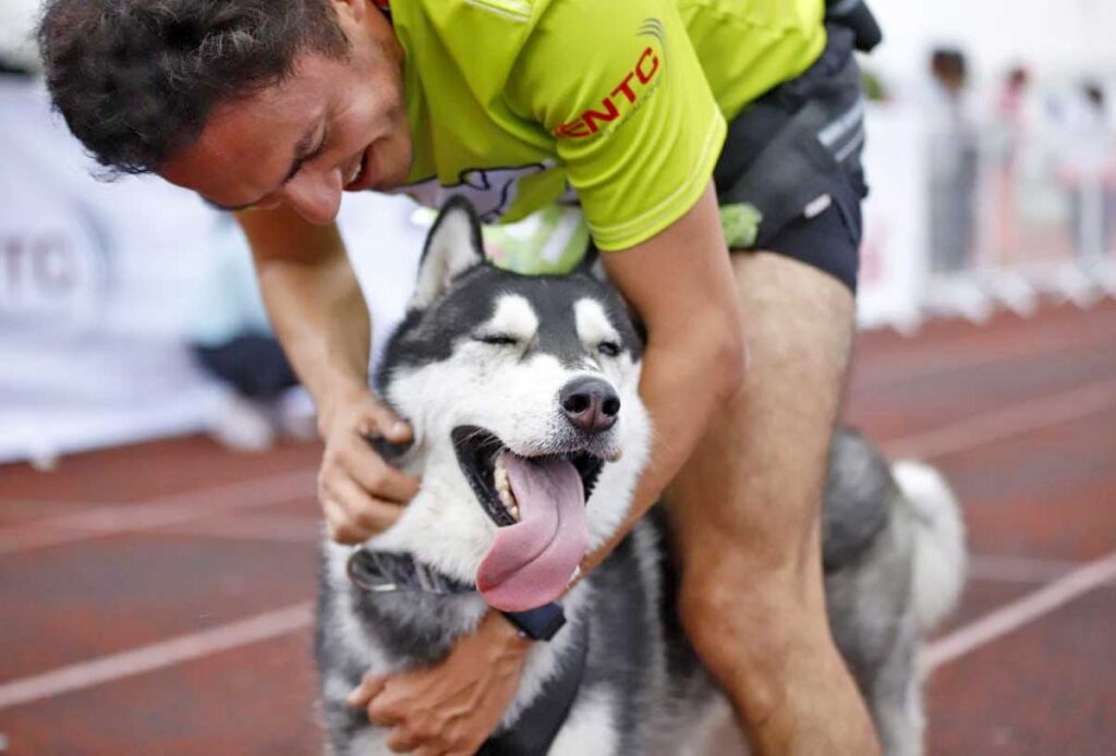 qrodigital-carrera-con-mascotas-en-queretaro-p-run-regresa