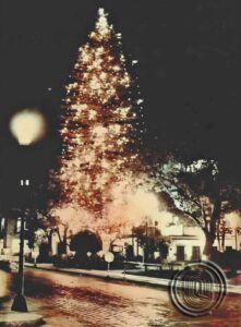 qrodigital-arbol-de-la-amistad-queretaro-cuento-de-navidad-sara-tradicion-historias-cabalgata